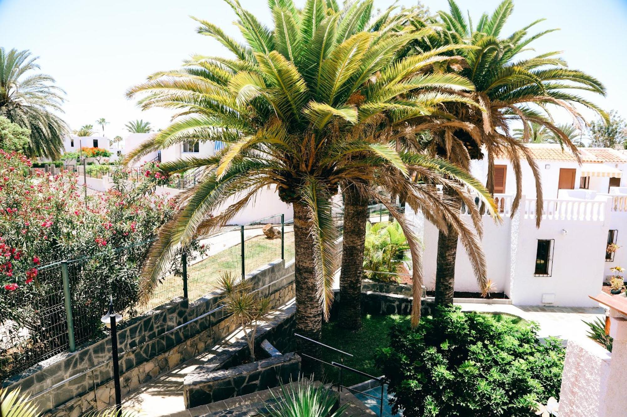 Virginia Apartment Playa de las Americas  Ngoại thất bức ảnh